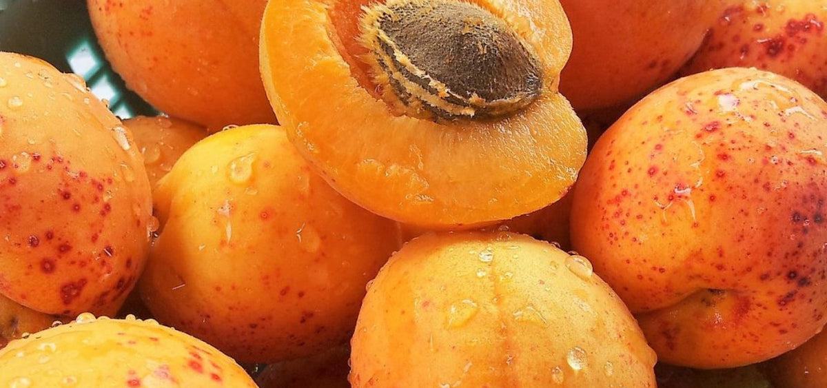 3 recetas con el producto del mes: el albaricoque