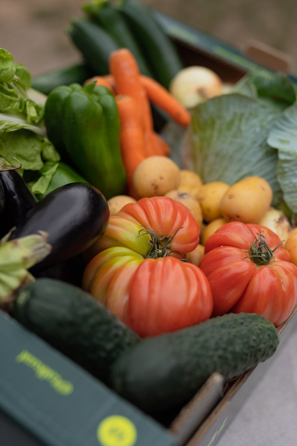Propiedades de las verduras