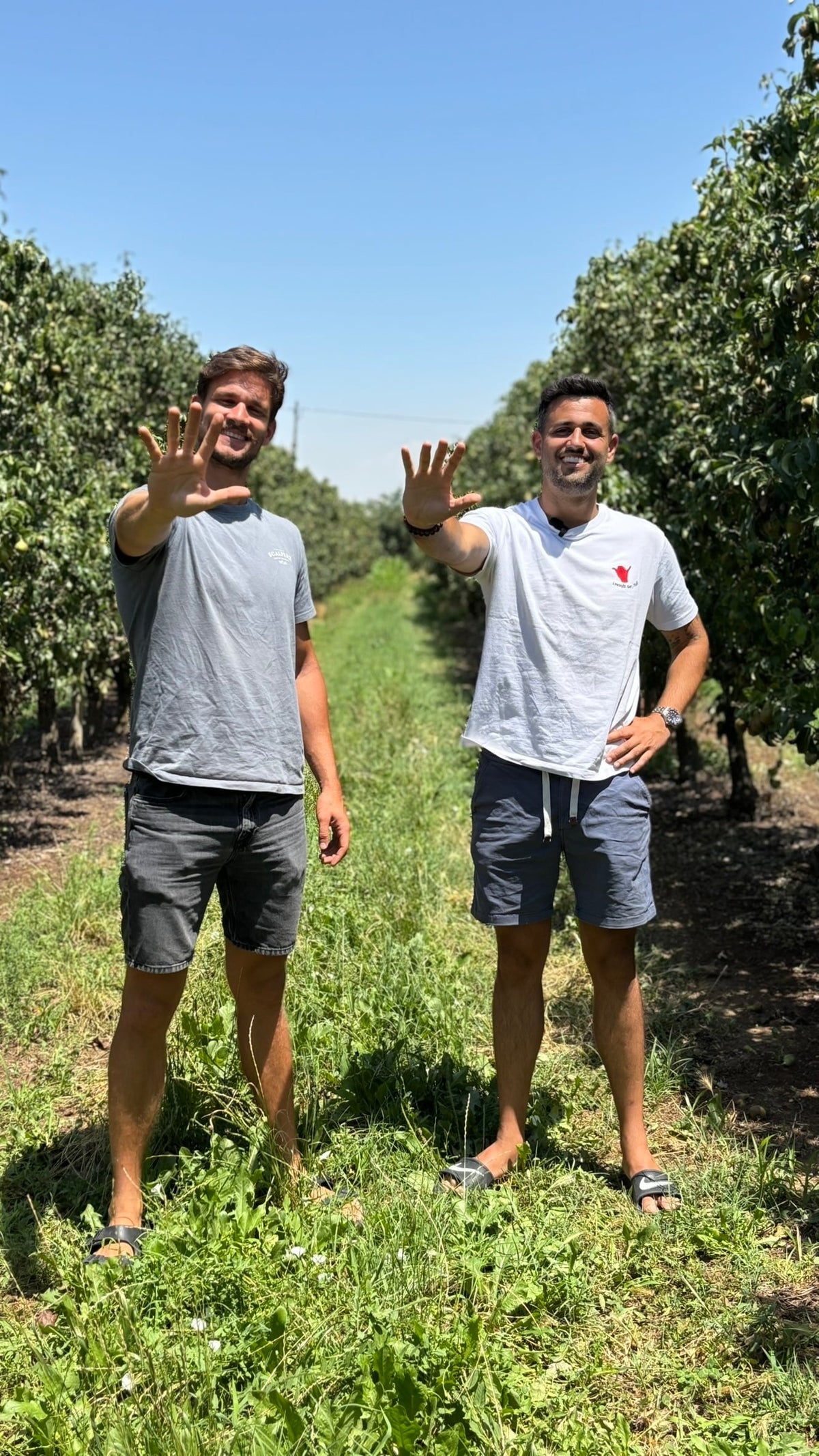 marc ibos i oriol aldomà - talkual