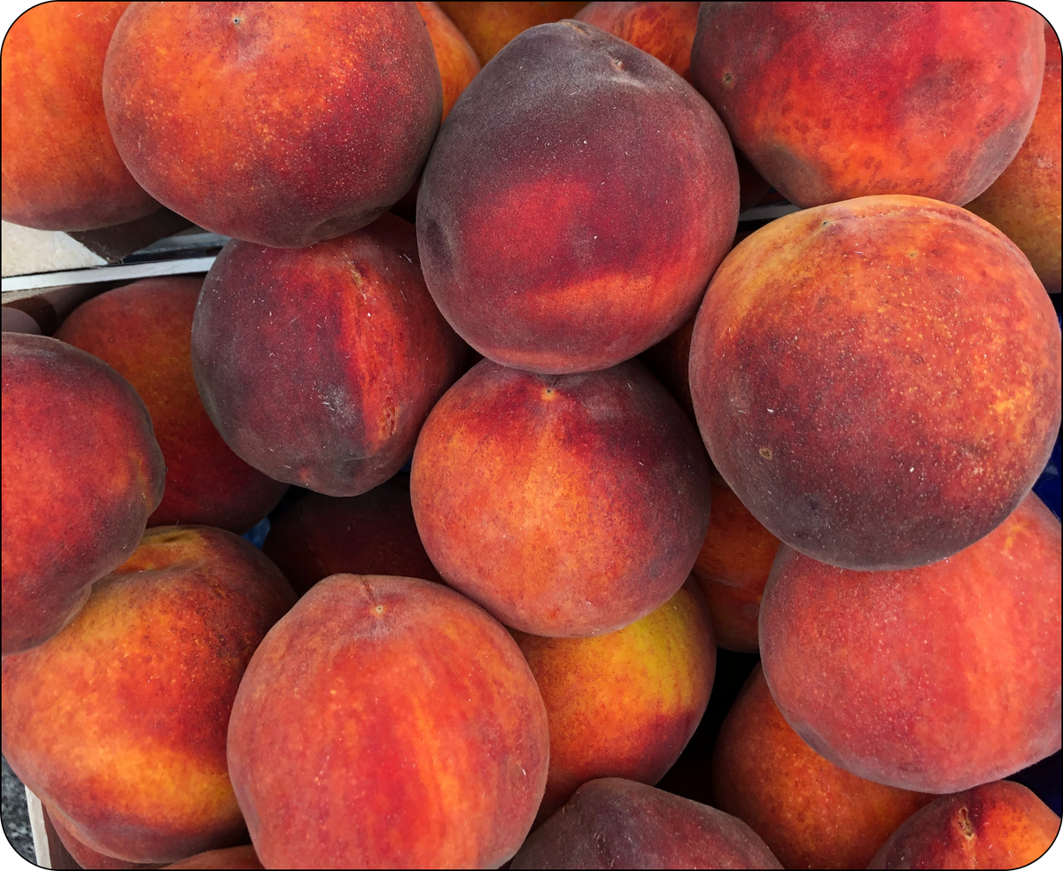 nectarinas