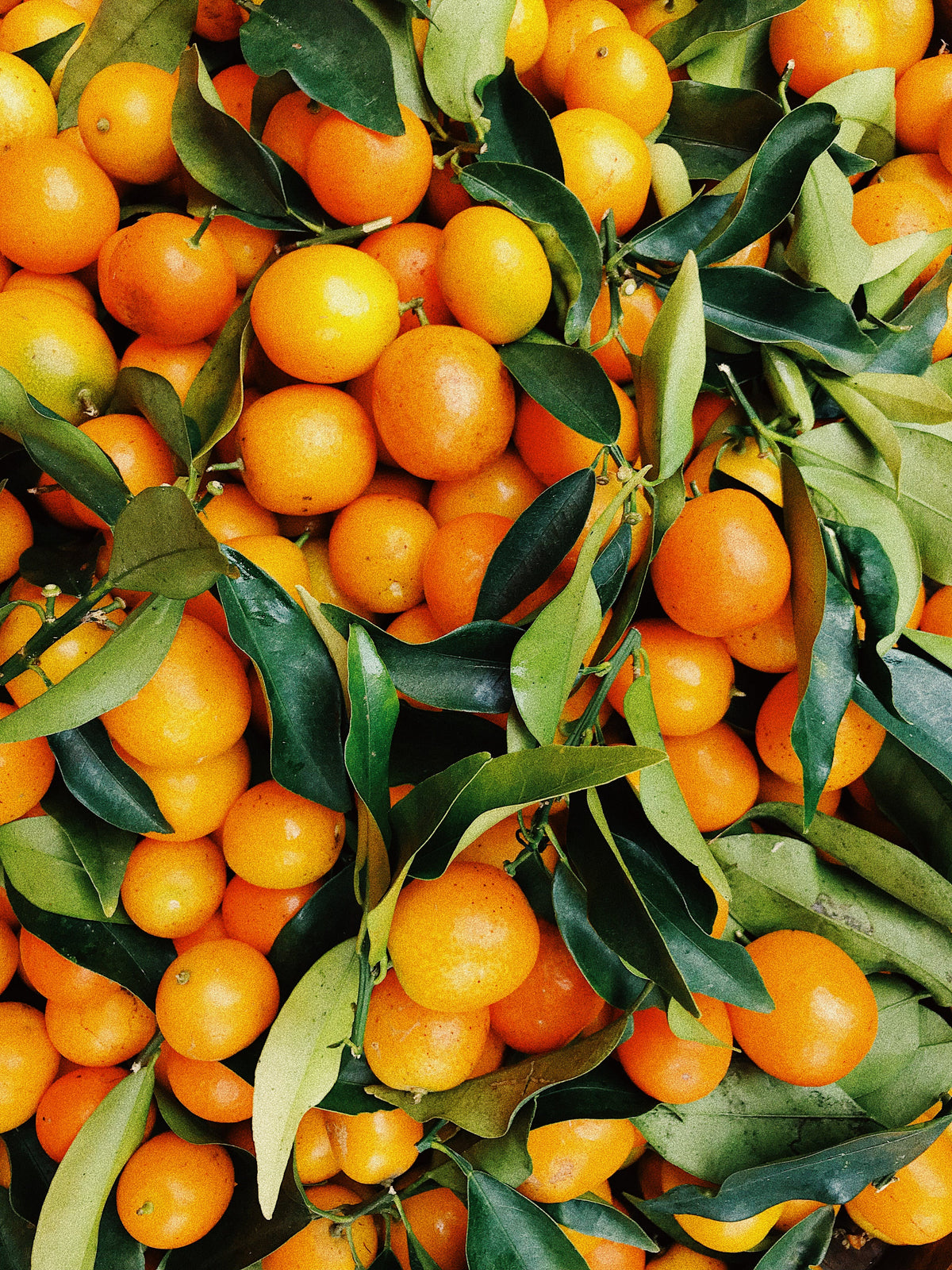 mandarines