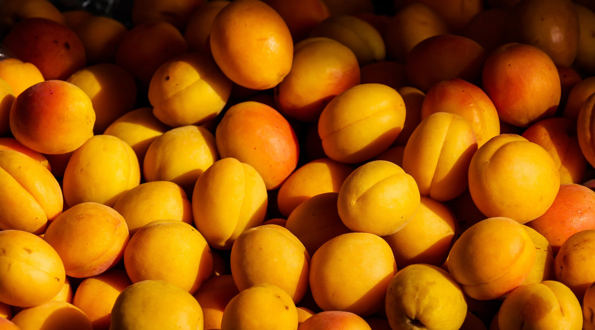 albercocs