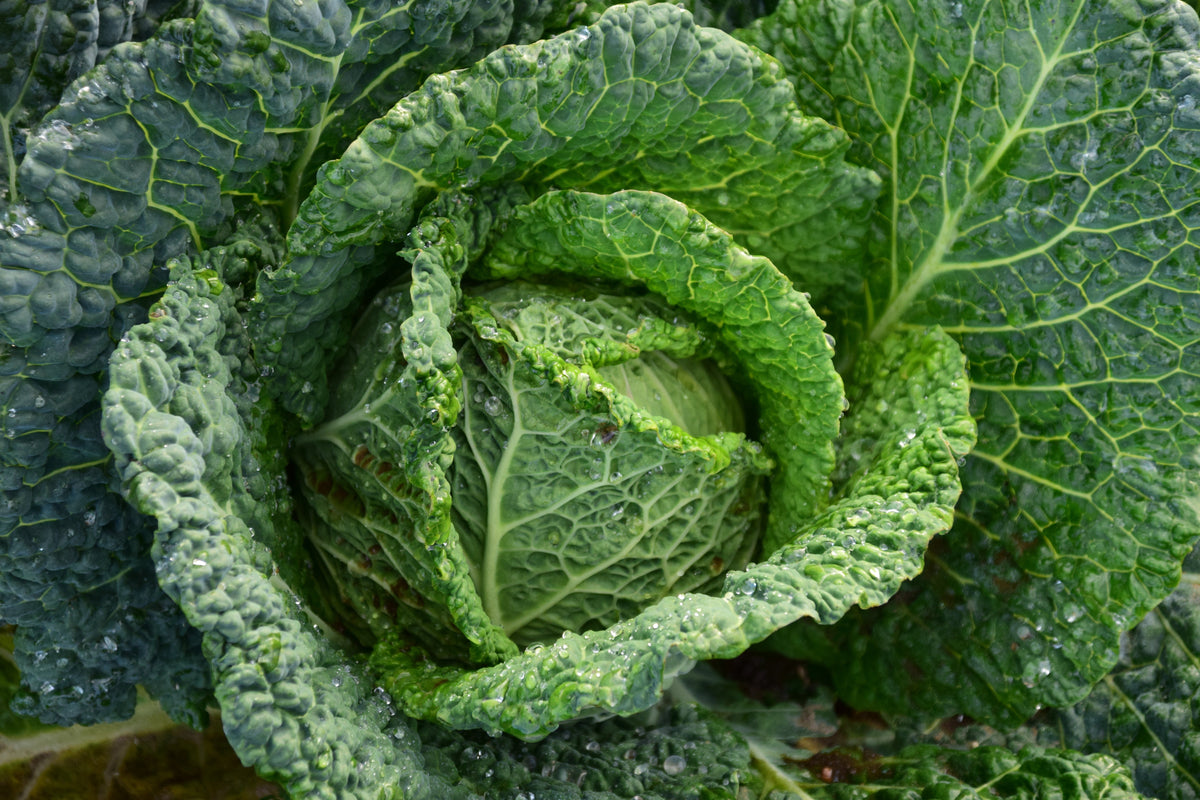 col