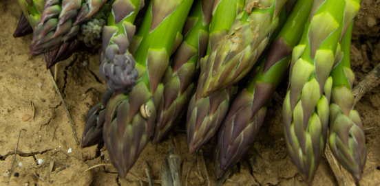 Frutas y verduras de abril: lo que no te puedes perder este mes