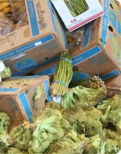 Desperdício alimentar TALKUAL