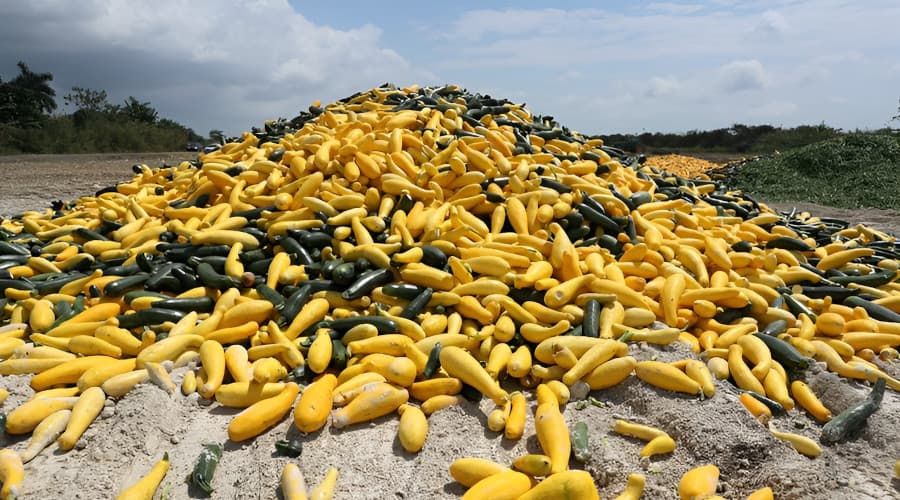 waste-2