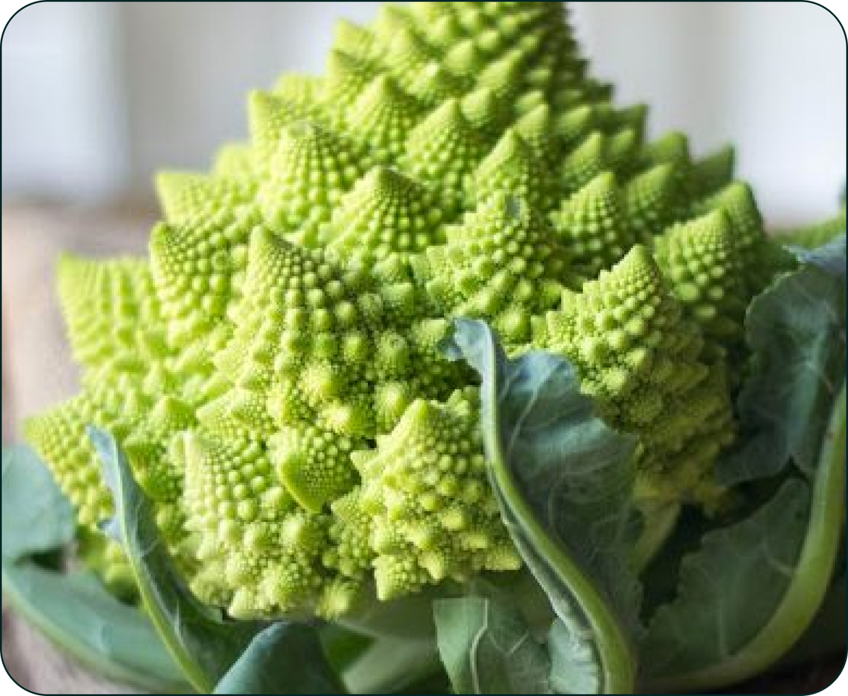 romanesco