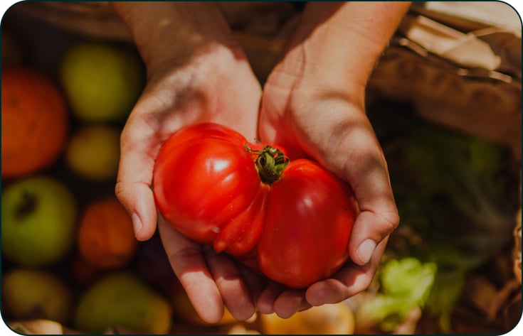 tomate