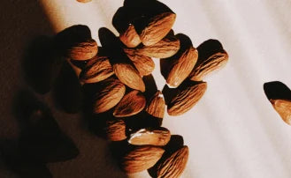 Frutos secos y semillas