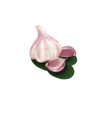Ajo