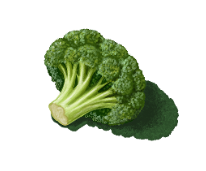 Brócoli