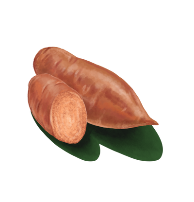 Boniato