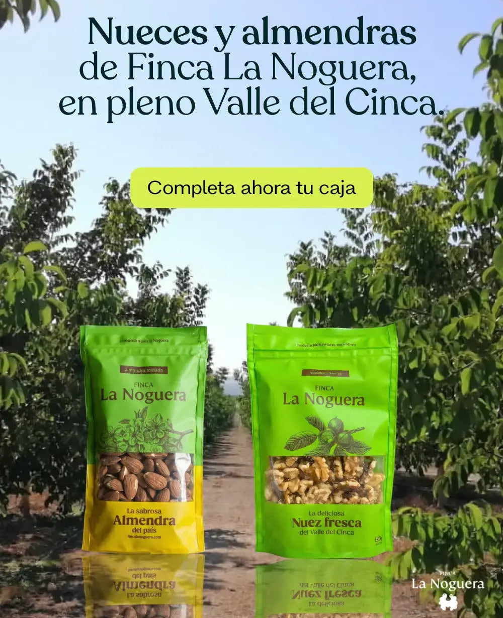 Nous i ametlles de la Finca La Noguera al bell mig de la Vall del Cinca