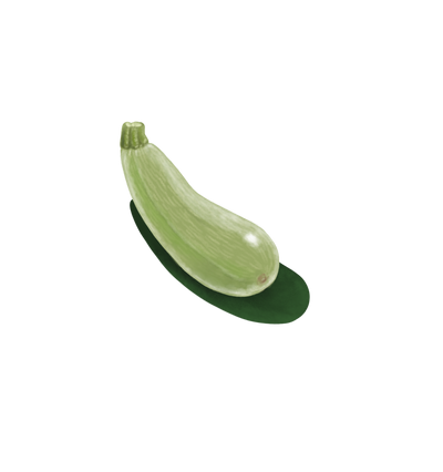 Calabacín