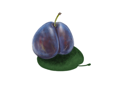 Ciruela