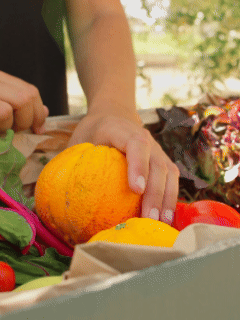 Frutas y verduras imperfectas rescatadas por TALKUAL