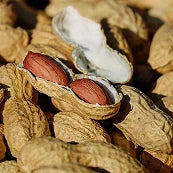 Cacauet