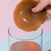 cultiu de kombucha