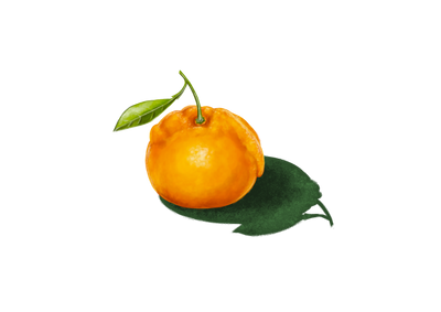 Mandarina