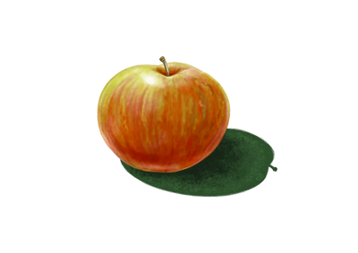 Manzana
