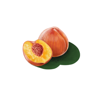 Melocotón