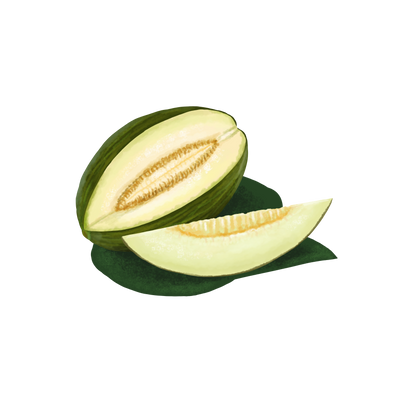Melón