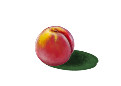 Nectarina