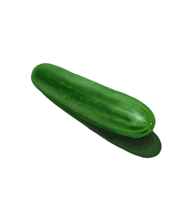 Pepino 