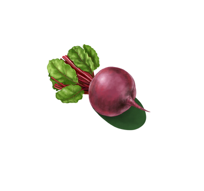 Remolacha