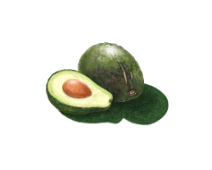 Aguacate