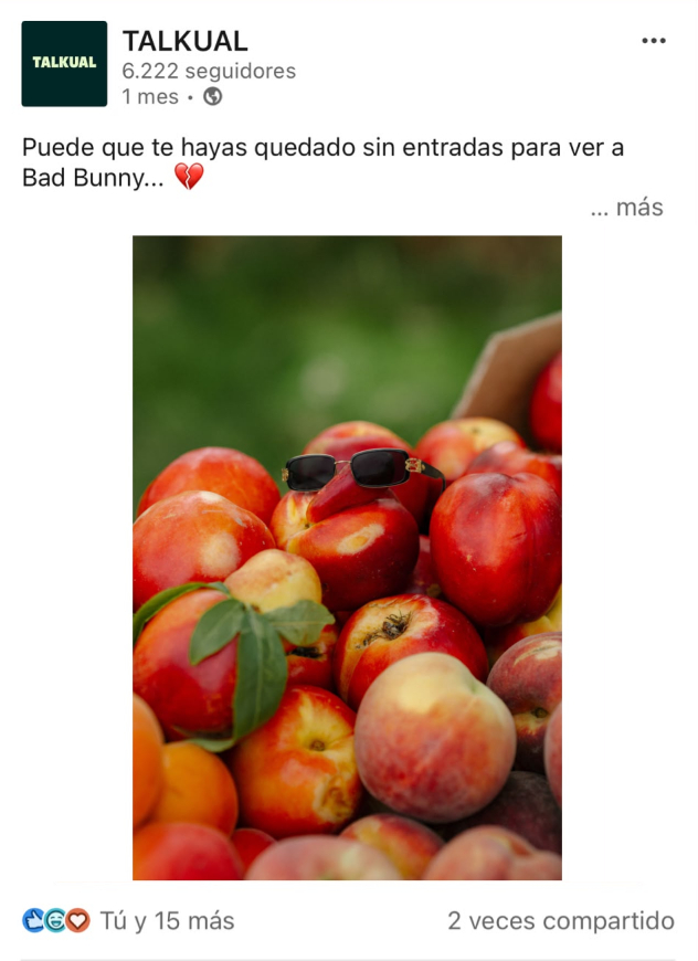 <a href="https://www.linkedin.com/company/talkual/" target="_blank" title="https://www.linkedin.com/company/talkual/">Linkedin</a>