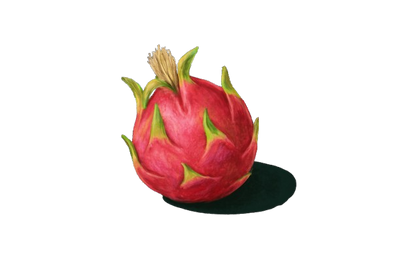 Pitahaya