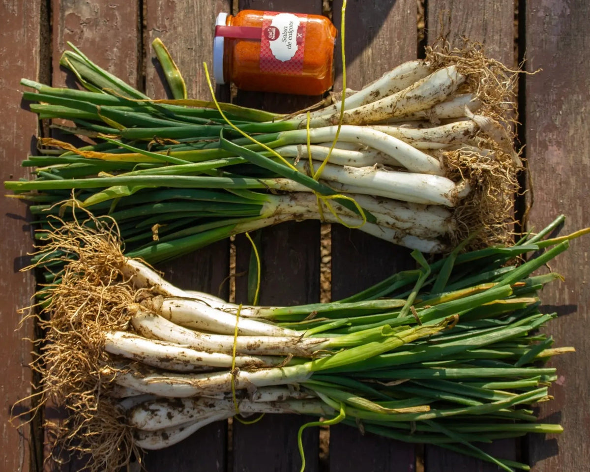 Manats de calçots amb salsa romesco per preparar una calçotada