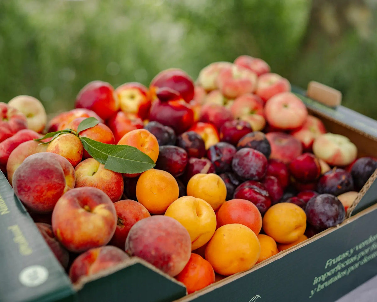 Primer plano de fruta de hueso de temporada con melocotones, nectarinas, ciruelas y albaricoques
