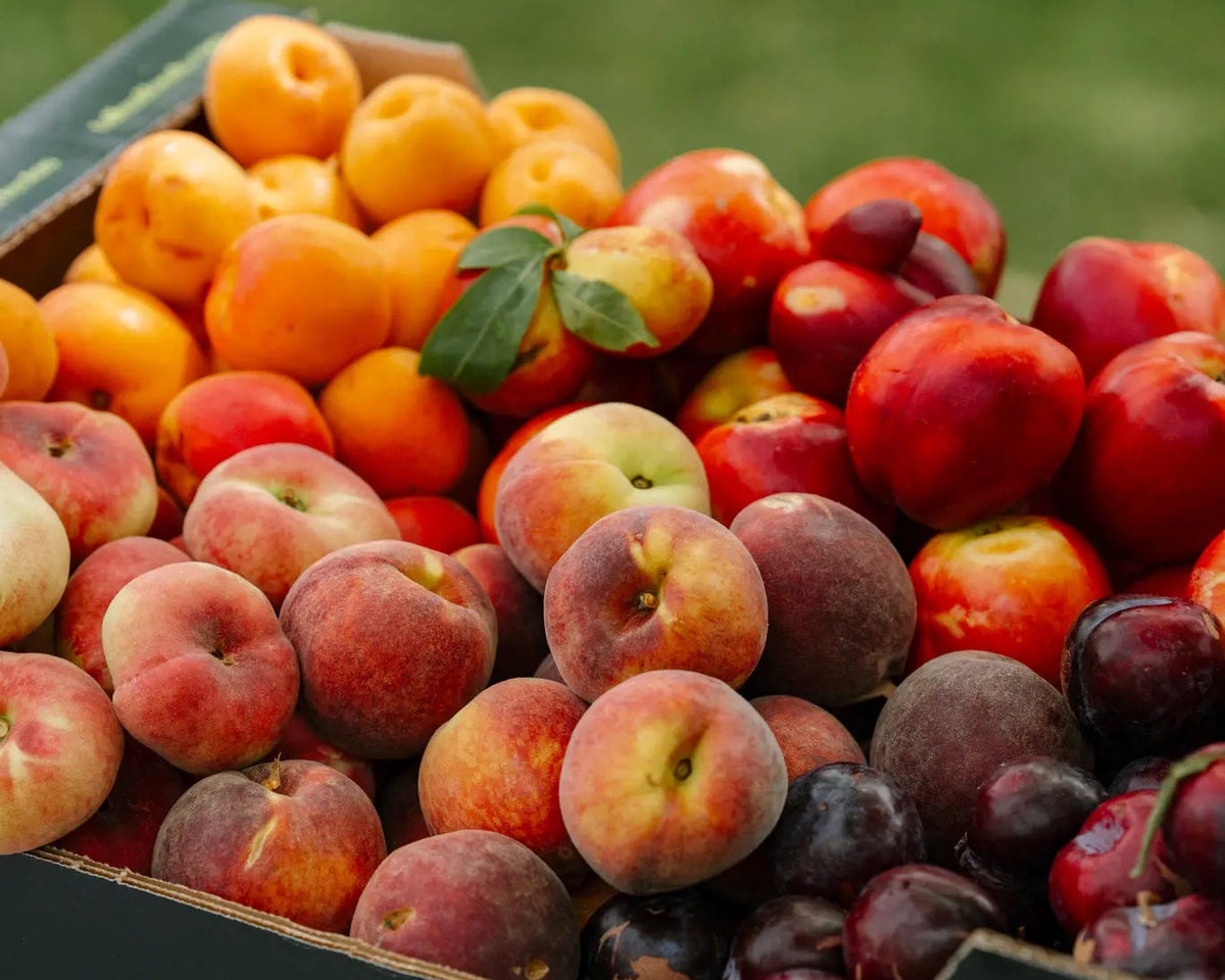 Fruta de hueso imperfecta de temporada en caja Talkual con melocotones, nectarinas y ciruelas