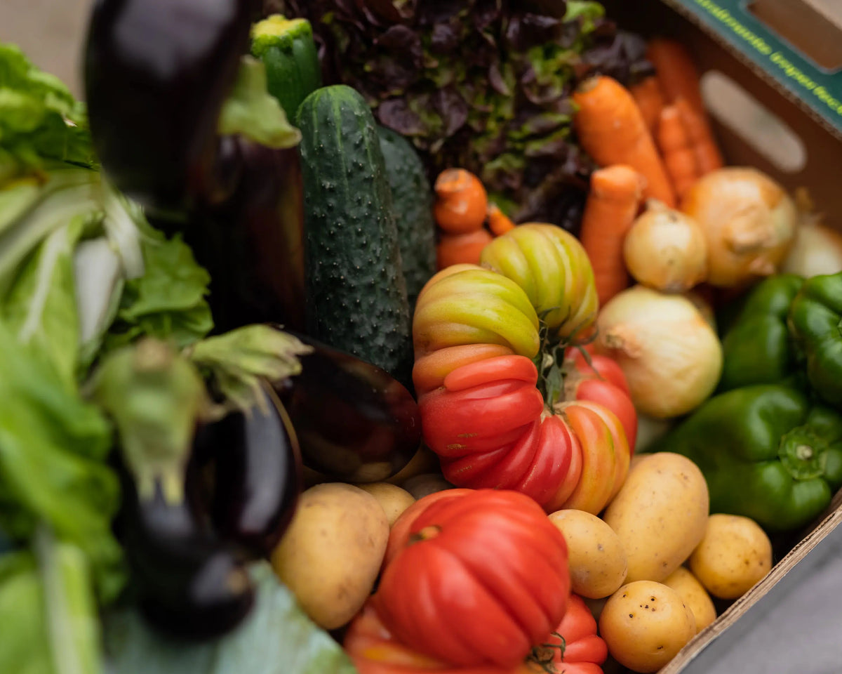 Verduras imperfectas de temporada TALKUAL con tomates, pepinos, berenjenas, zanahorias y patatas